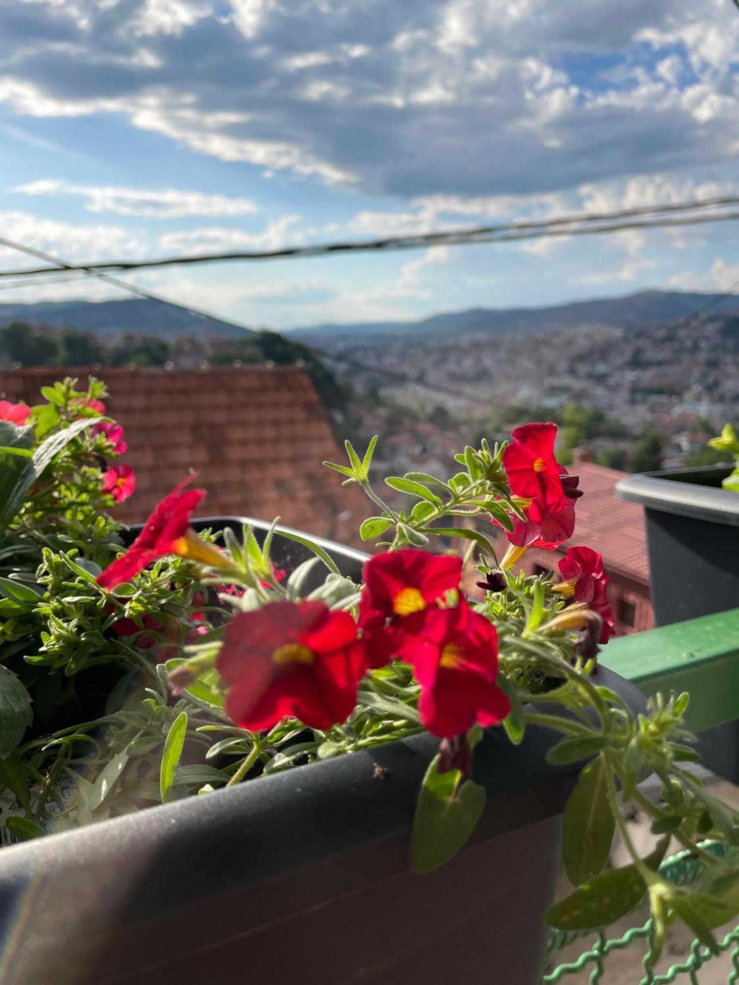 Апартаменты Sarajevo Cozy Attic Экстерьер фото